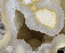Agatized Fossil Coral Full Of Druzy Quartz - Florida #56123-1